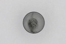 Load image into Gallery viewer, 10x HONDA ACCORD CITY CIVIC CRV BONNET HOOD INSULATION RETAINER CLIPS